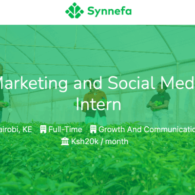 Marketing & Social Media Intern Job – Synnefa